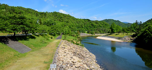 やさかキャンプ村イメージ