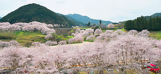 弥栄湖スポーツ公園イメージ