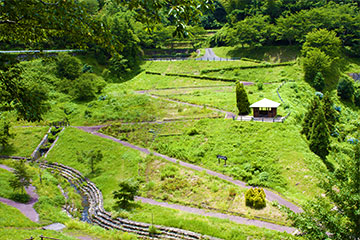 百合谷水辺公園