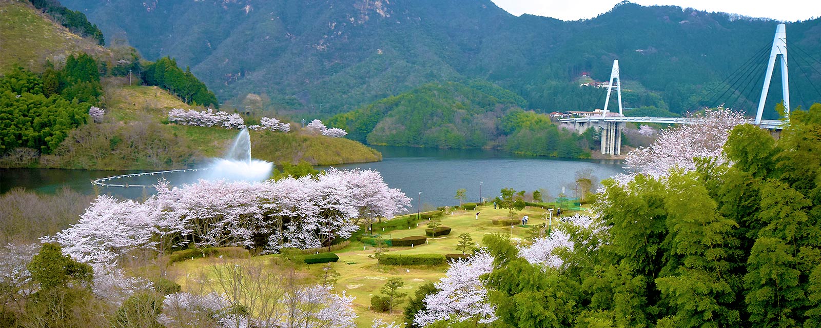 パークゴルフ場と桜